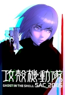 Ghost in the Shell: SAC_2045