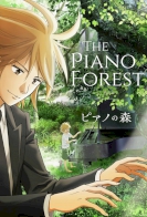 Piano Forest