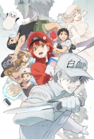 Hataraku Saibou 