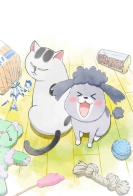 Inu to Neko Docchi mo Katteru to Mainichi Tanoshii 